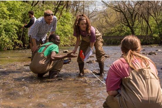 students in waders collect creek samples