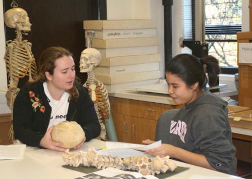 Anthropology majors Rachel Kochert and Gift Kompsombut studying in the Osteology Teaching Lab