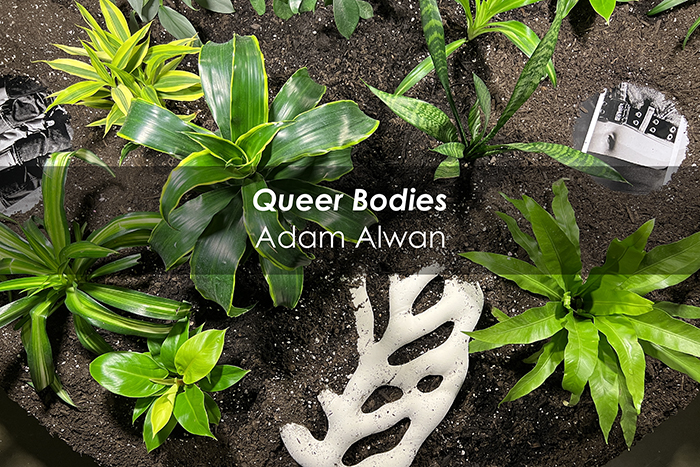 Link to Queer Bodies