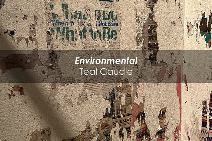 Link to Environmental