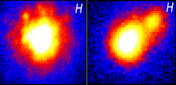 Imaging Brown Dwarf Stars with Keck Laser Guide Star Adaptive Optics