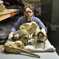 Prof. Neil Kelley