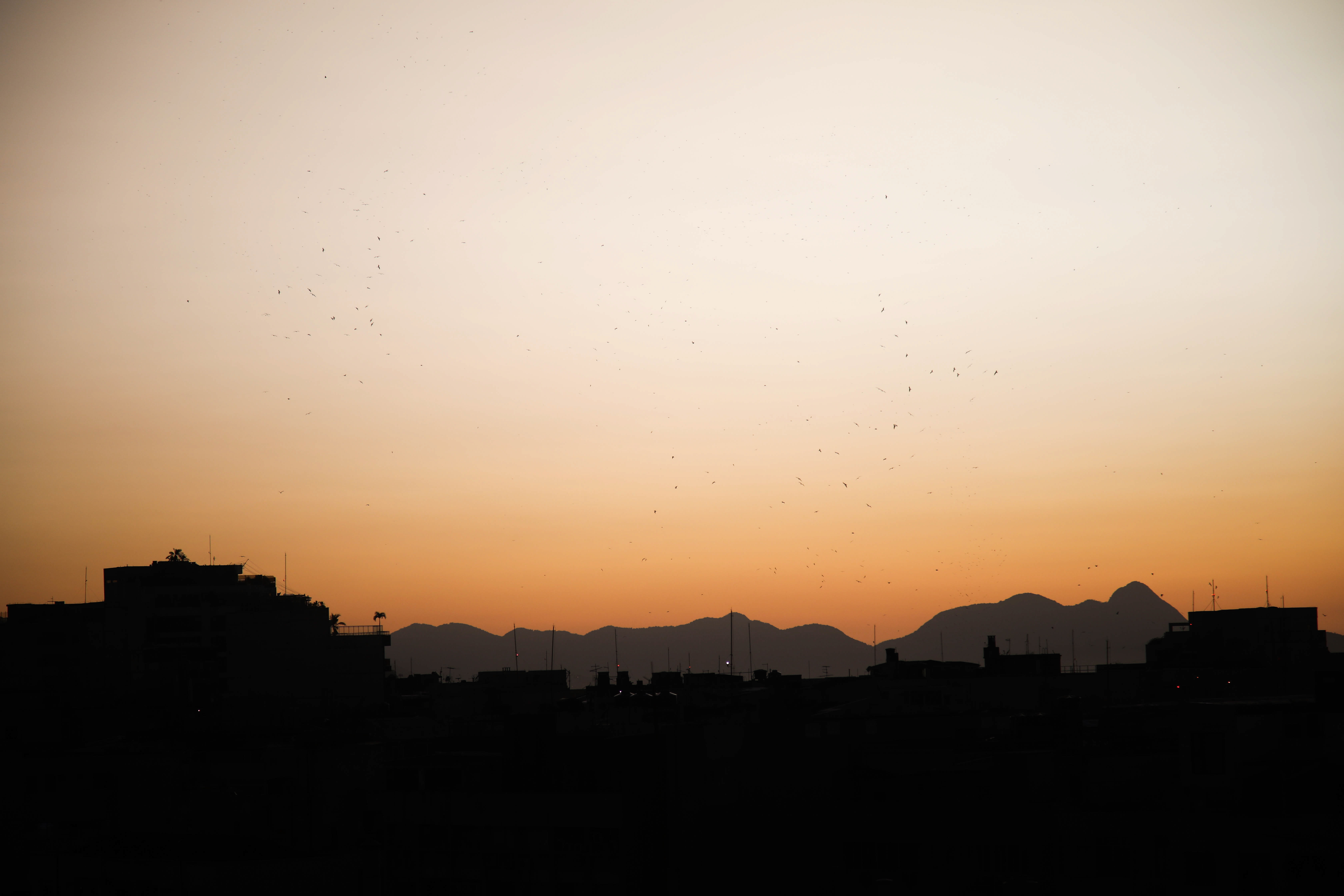 Urban view at Sunset