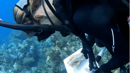 Ellie Allain, girl in wetsuit underwater writing notes