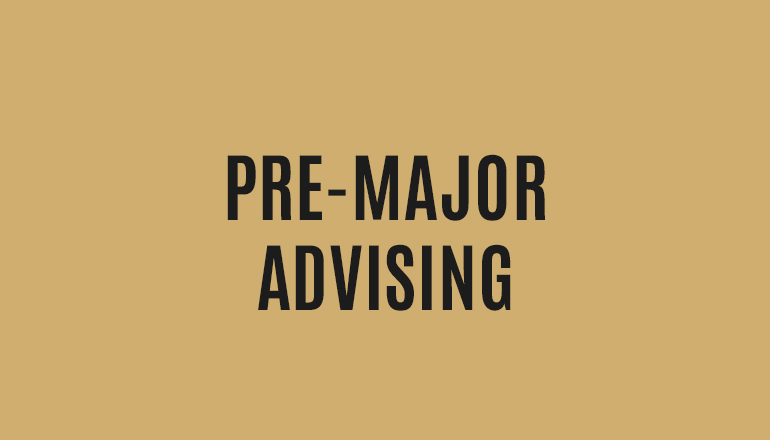Advising