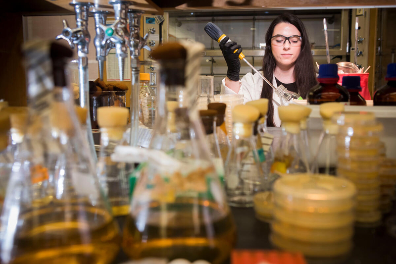 student researcher among beakers in Bachmann Lab