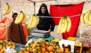 What has that got to do with the price of bananas in Tunisia? Article authored by David Wasserstein, Eugene Greener, Jr. Professor of Jewish Studies.