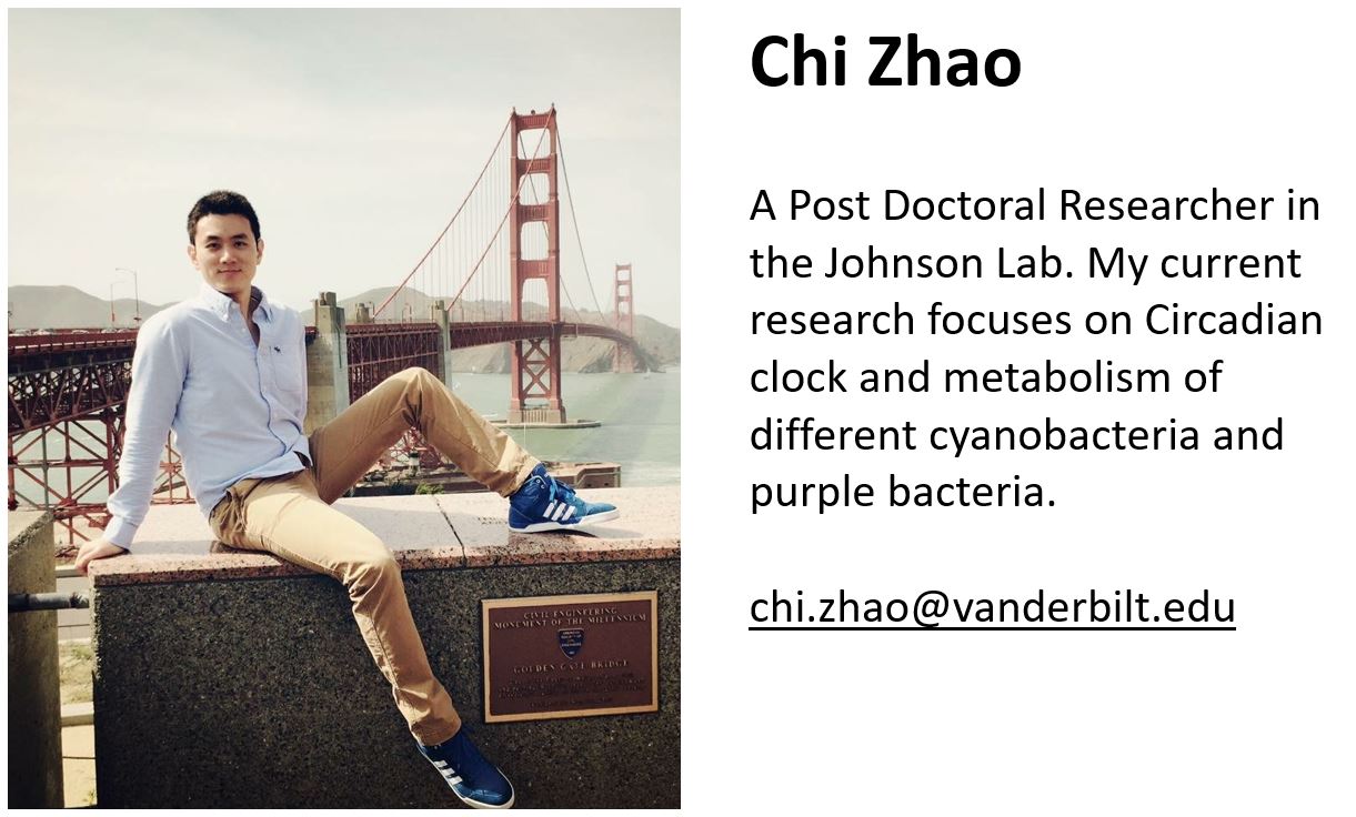 Chi Zhao Biography