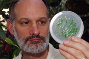 Man holding up a Petri dish with green substance inside