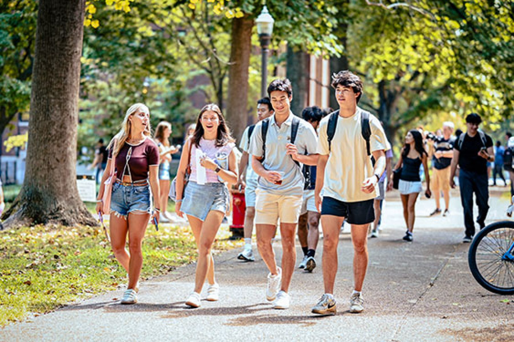 A group of students walk through campus